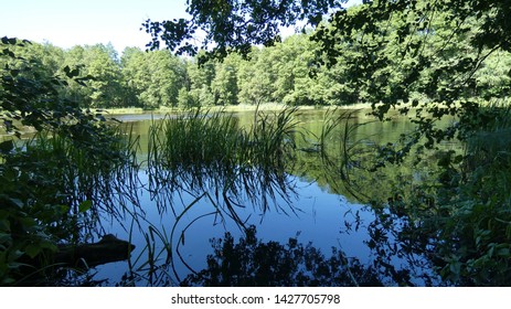 View Of The Unique Lake Sooda Of The Glacial Period In Klooga - Estonia.