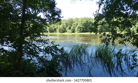 View Of The Unique Lake Sooda Of The Glacial Period In Klooga - Estonia.