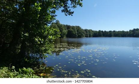 View Of The Unique Lake Sooda Of The Glacial Period In Klooga - Estonia.