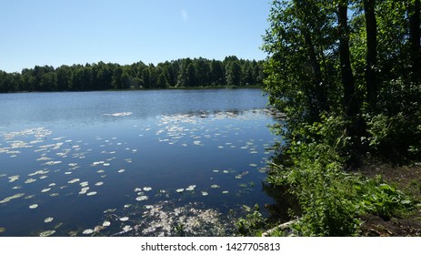 View Of The Unique Lake Sooda Of The Glacial Period In Klooga - Estonia.