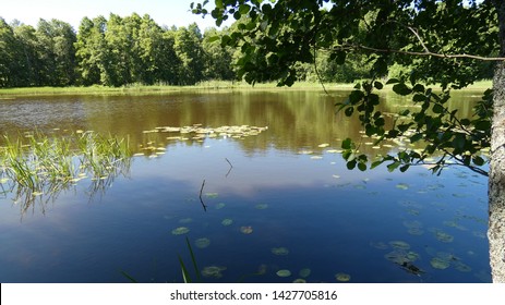 View Of The Unique Lake Sooda Of The Glacial Period In Klooga - Estonia.