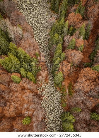 ​Aerial view of a unique stone river flowing through an autumn forest, moraines in Vitosha mountain, Bulgaria. Scenic drone landscape with fall colors and pine trees.
