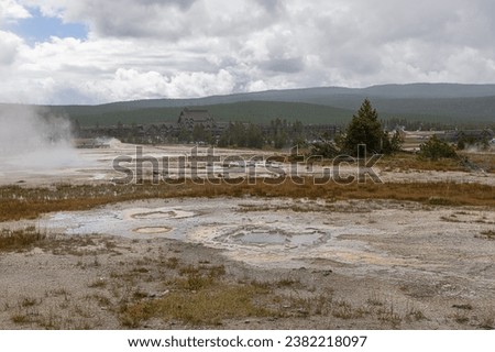 View of the Upper Geyser Basin near Beach Spring in Yellowstone National Park