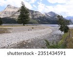 View of Upper Waterton lake from the shoreline along the Cameron Falls trail.  Located in Waterton National Park Alberta Canada this is one of three lakes making up the heart of the park.  