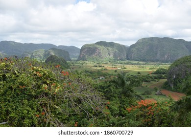 View Viñales Valley Cuba Garden