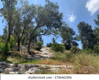 View Of The Valley Of Elah In Israel, Where David Defeated Goliath