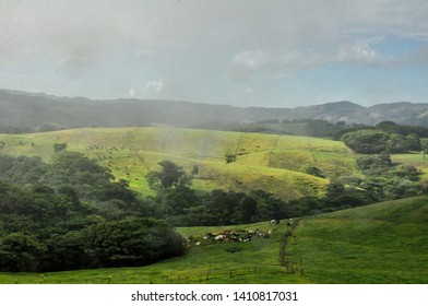 View of valley and trees embedded in clouds and fog (landscape photo)