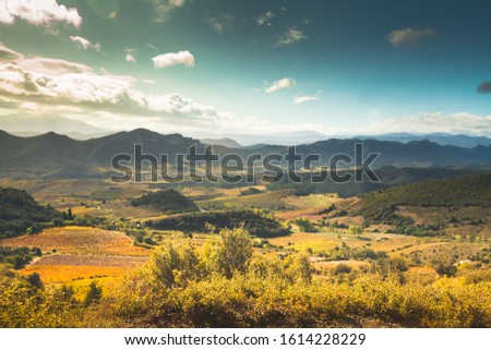 View to valley with vineyards and mountains, Corbieres, France