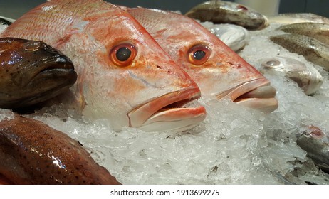 188,228 Fish in ice Images, Stock Photos & Vectors | Shutterstock