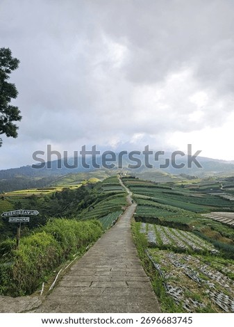 the view of the vegetable fields at the foot of the mountain is extraordinary