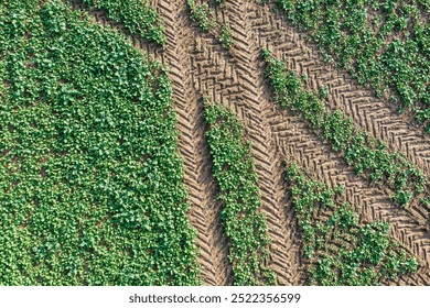View vertically downwards at intersecting tractor tracks on a meadow