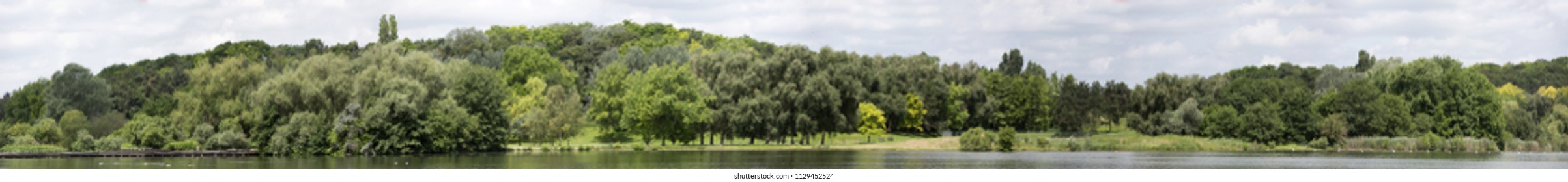 View Of A Very High Definition Treeline With A Colorful Blue Sky