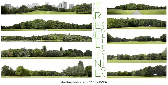 View of a Very high definition Treeline collection isolated on a white background