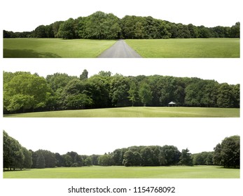 View of a Very high definition Treeline isolaeted on a white background