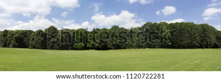 View of a Very high definition Treeline with a colorful blue sky