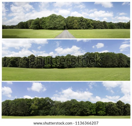 Similar – Courage to leave gaps. Missing trees in an avenue, landscape