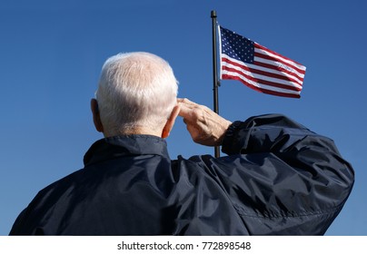 View Of A Veteran Saluting The Flag Of The United States.