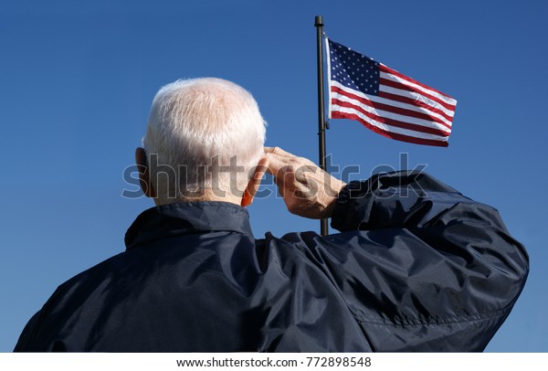 View\
of a veteran saluting the flag of the United\
States.