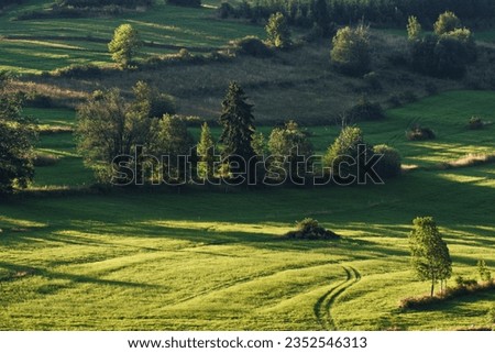 Similar – Image, Stock Photo allgäu. Environment Nature