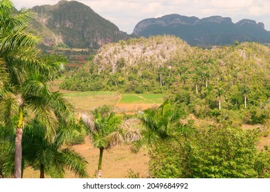 The View Of Vinales Valley, Cuba