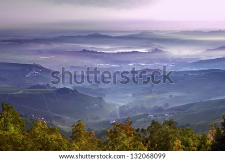 View of a vineyard in Langhe, Piedmont, Italy