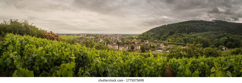 View From The Vineyard Of Nuits Saint Georges