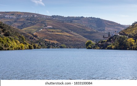 view of the vineyards of the douro valley with autumn cores - Portugal