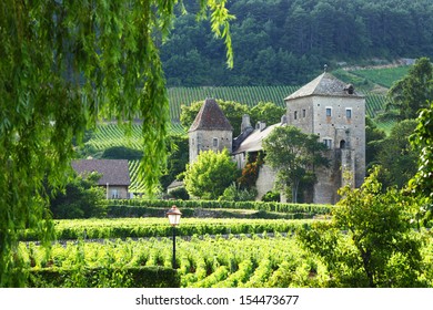 View of the vineyards in Gevrey Chambertin, France