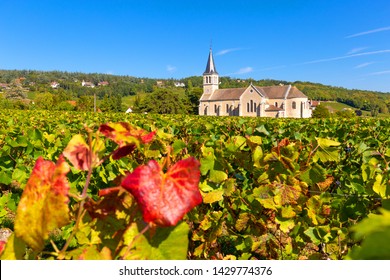 View of vineyards of Givry, in Burgundy, France
