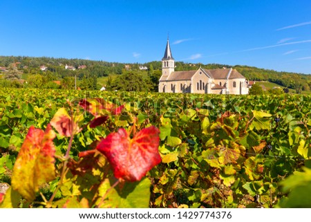 View of vineyards of Givry, in Burgundy, France