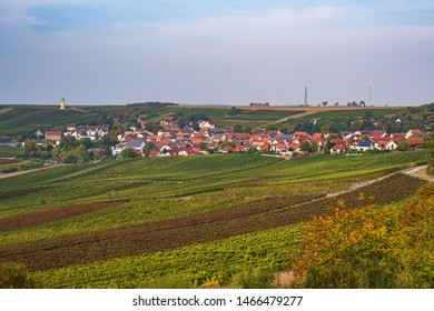 View Of The Vineyards In Rhenish Hesse / Germany In Autumn