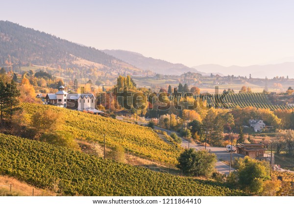 View Vineyards Wineries On Naramata Bench Stock Photo Edit Now