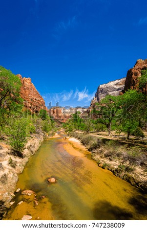A view of the Virgin River as it flows through Zion Canyon in the Zion National Park, Utah