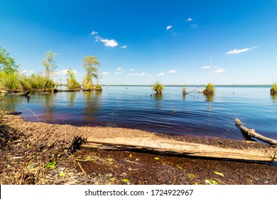 View Of Virginia's Lake Drummond On A Sunny Day