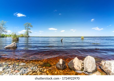 View Of Virginia's Lake Drummond On A Sunny Day