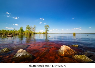 View Of Virginia's Lake Drummond On A Sunny Day