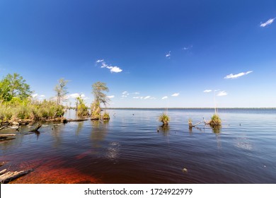 View Of Virginia's Lake Drummond On A Sunny Day