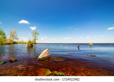 View Of Virginia's Lake Drummond On A Sunny Day