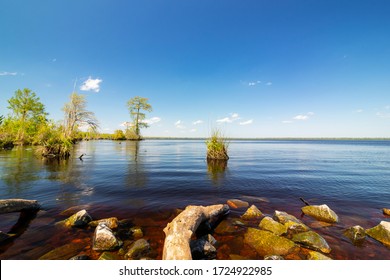 View Of Virginia's Lake Drummond On A Sunny Day