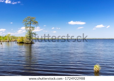 View of Virginia's Lake Drummond on a Sunny Day