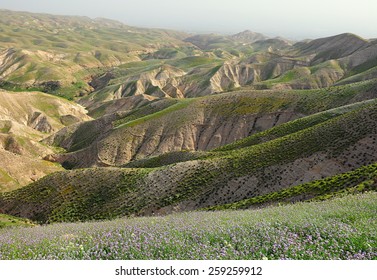 View Of Wadi Qelt .Judaean Mountains. Israel.