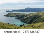 View of Waikawa Bay on the way to French Pass, New Zealand