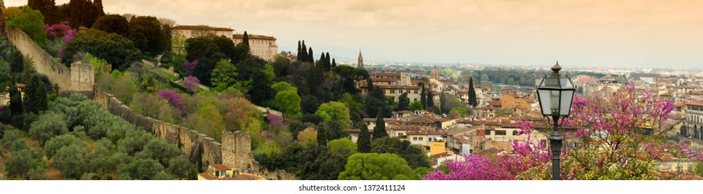 view of walls of the Forte di Belvedere in Florence in Italy, taken from Piazzale Michelangelo on a spring day with purple flowered trees.
