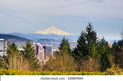 A View From The Washington Park Portland