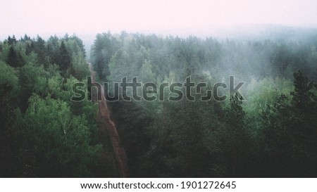 View from a Watch Tower in Ogre, Latvia