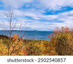 view of the water with a bare tree and trees with autumn color leaves in front