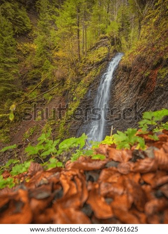 view to waterfall from yellow leaves in canyon