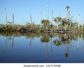 View Of The Waters Of The Tomoka River In Florida