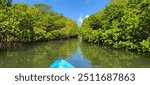 View of a waterway of the front of a kayak with mangroves 