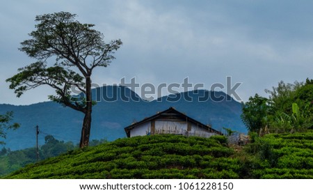 View at Wayanad, Kerala